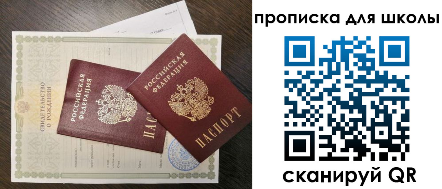 прописка гарантия в Ельне